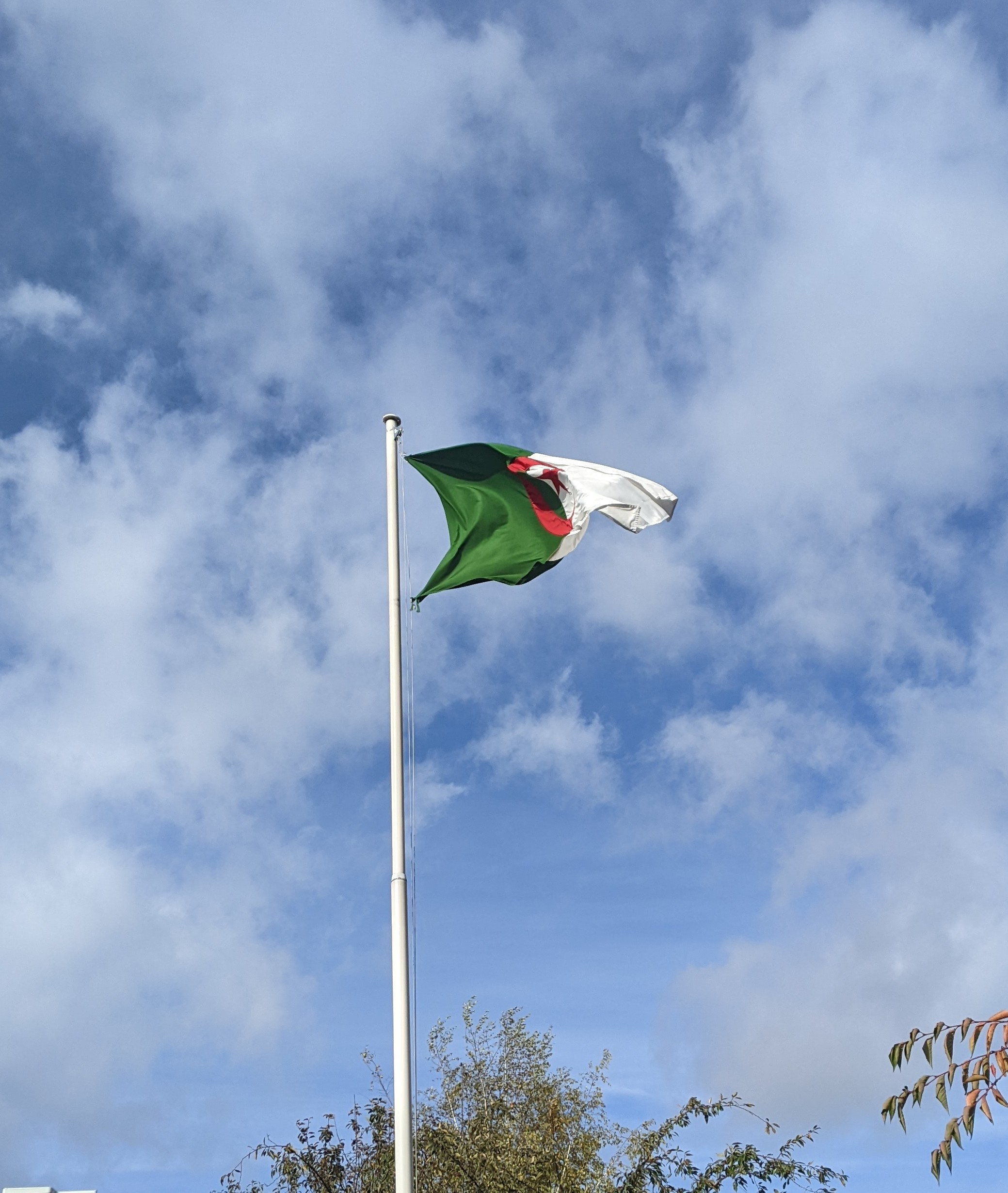 Algérie les amis par Ancien membre