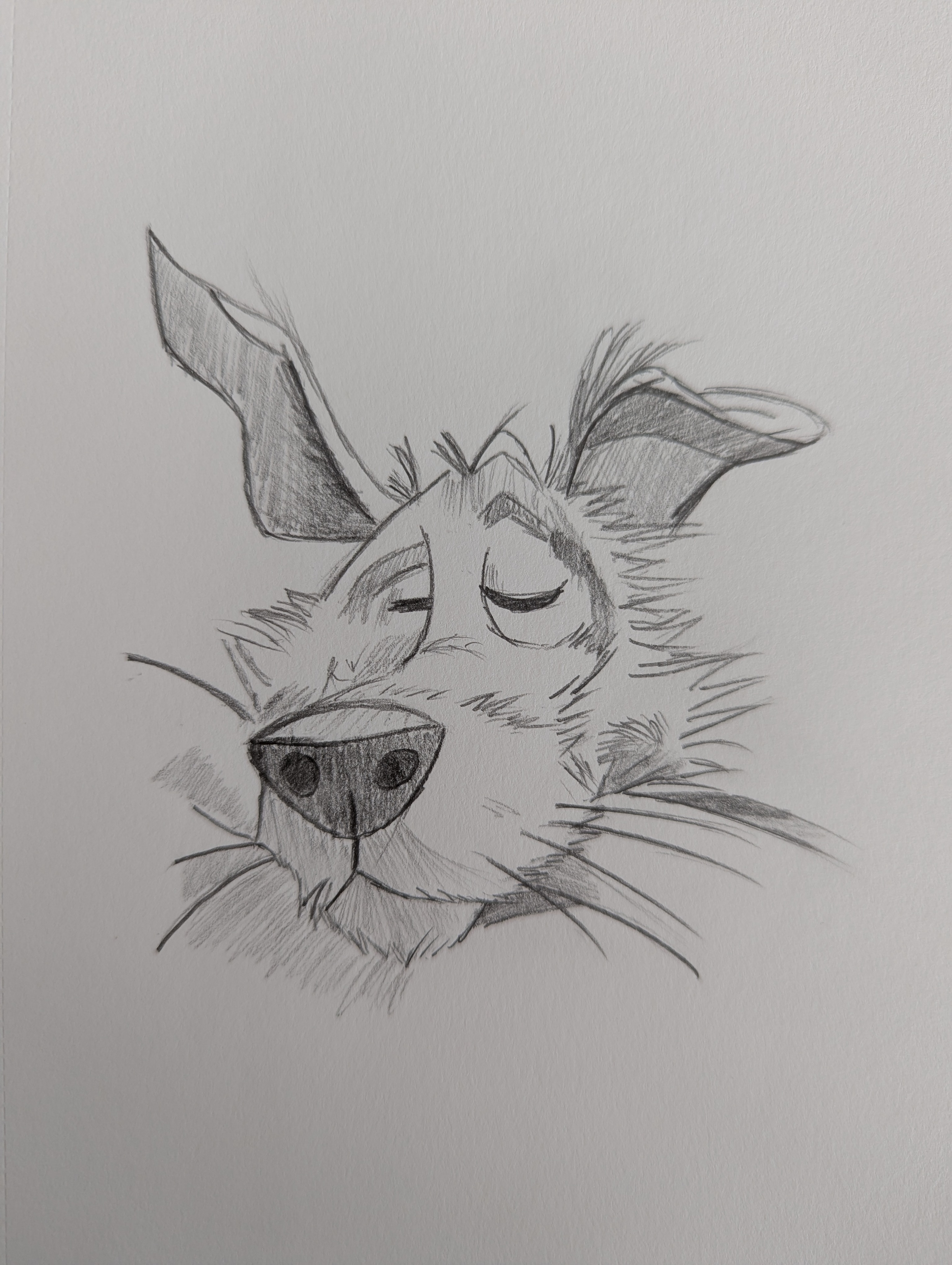 Quelques croquis par Walvyn