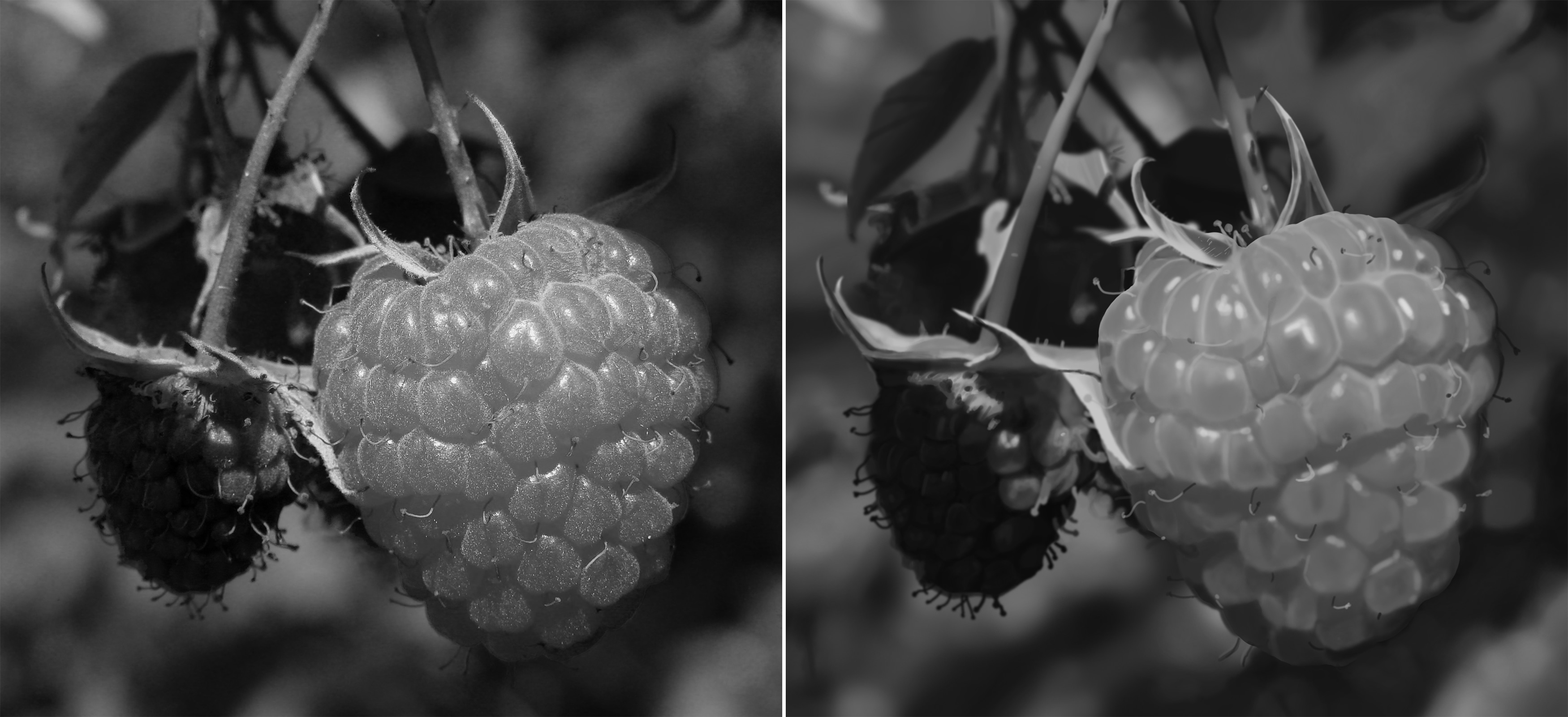 Exercice 1 - Chapitre 4 - Montagne, framboise et sauterelle par Arka