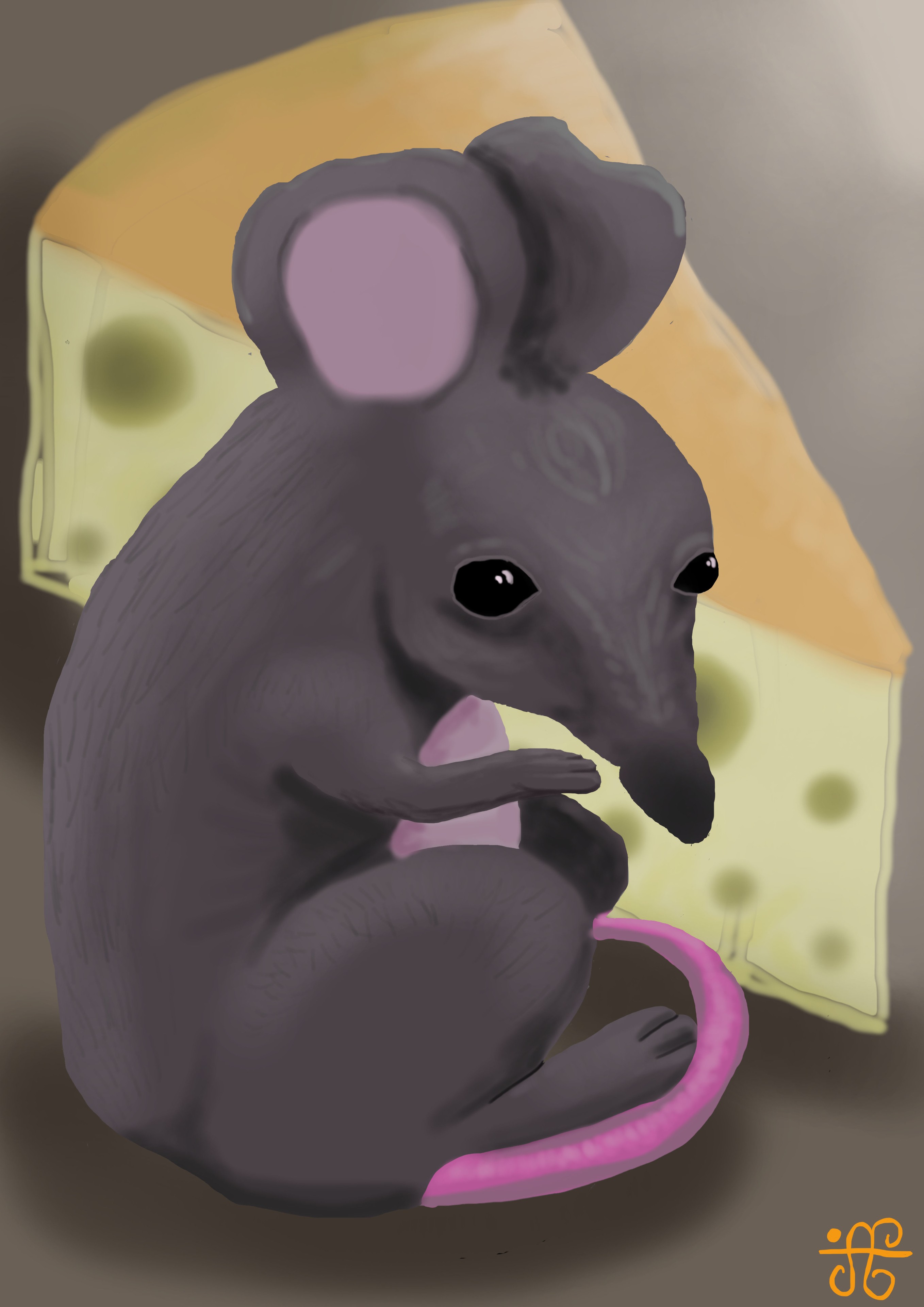 Rat des champs par GalleThvenin