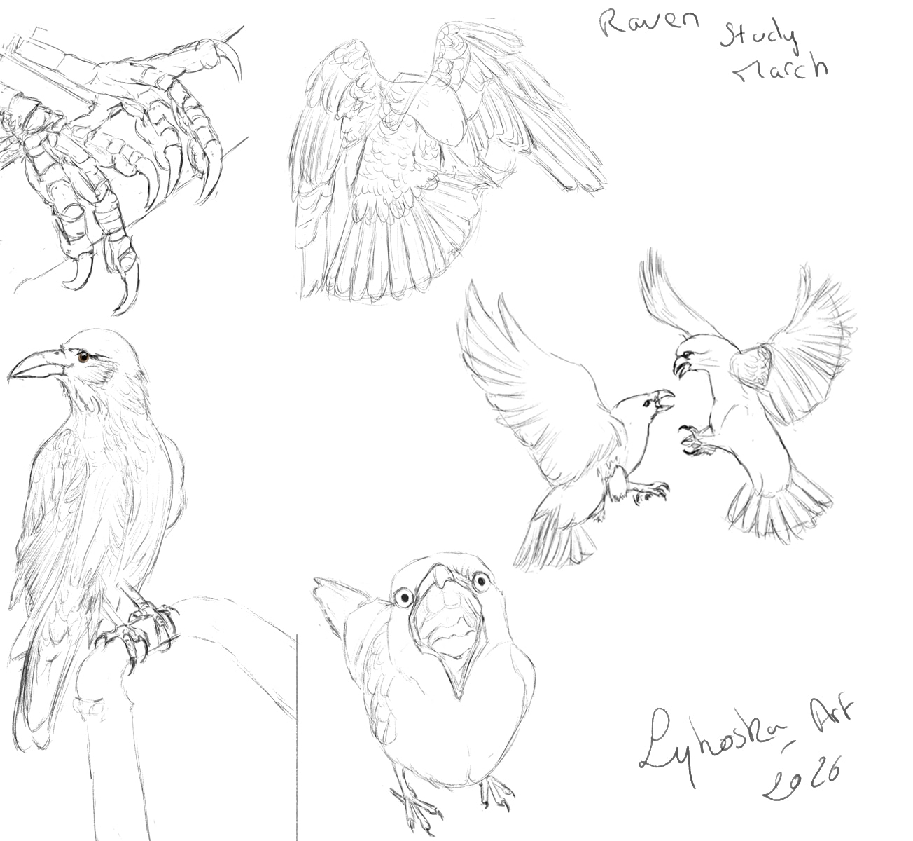 Exo mensuel du mois de mars 2026 par lykoska