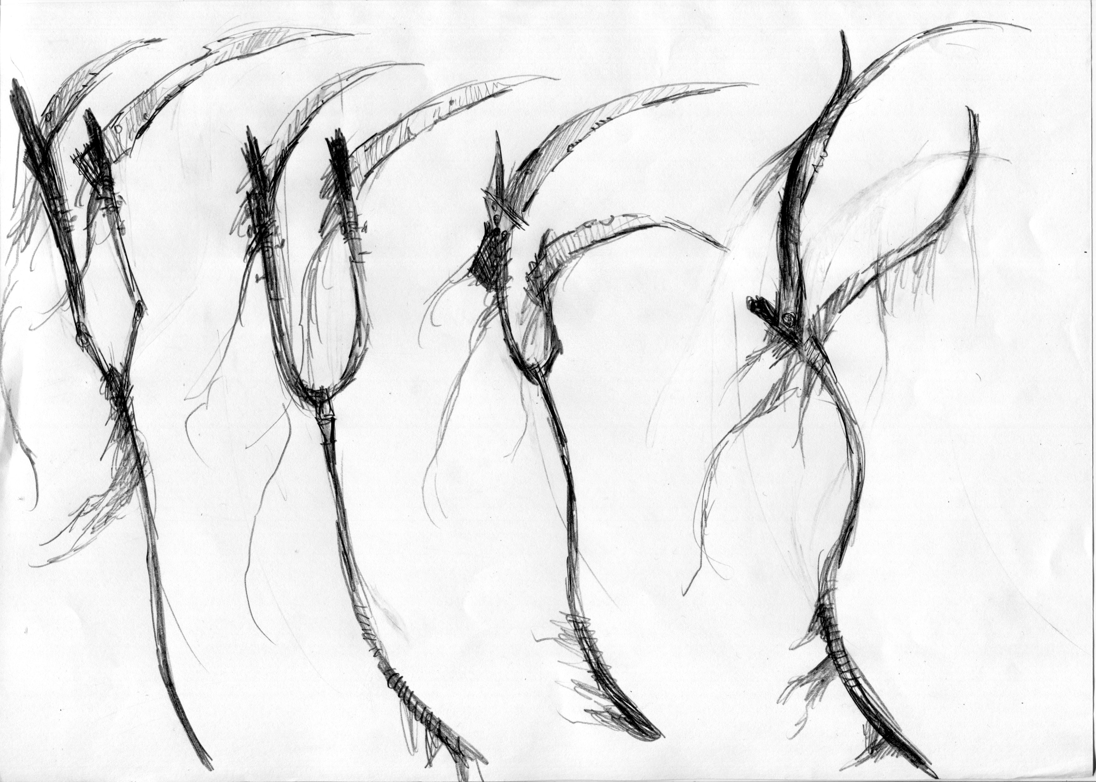 Character design de La Mort par Telamon