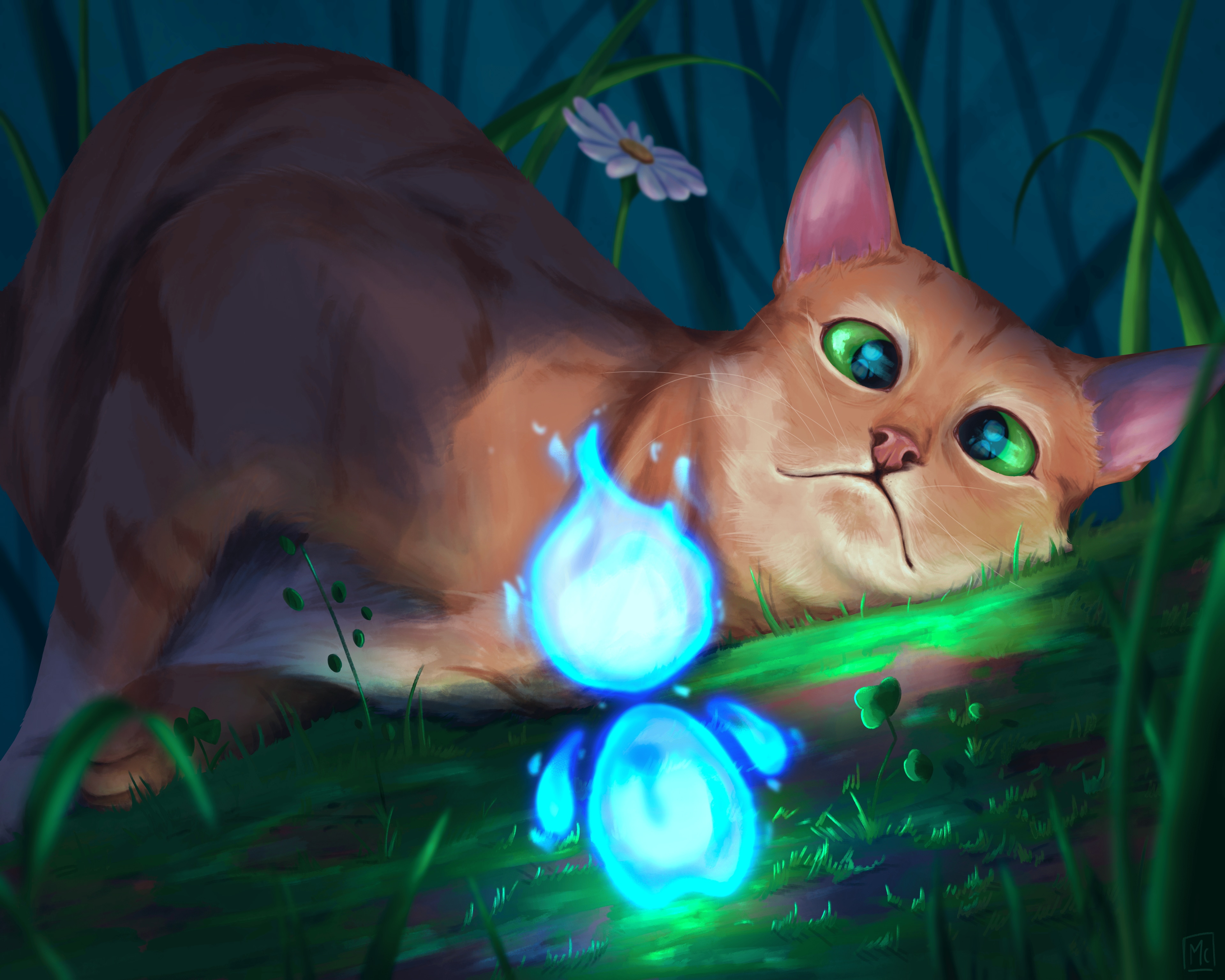 Feux Follets par Leptitcarnet