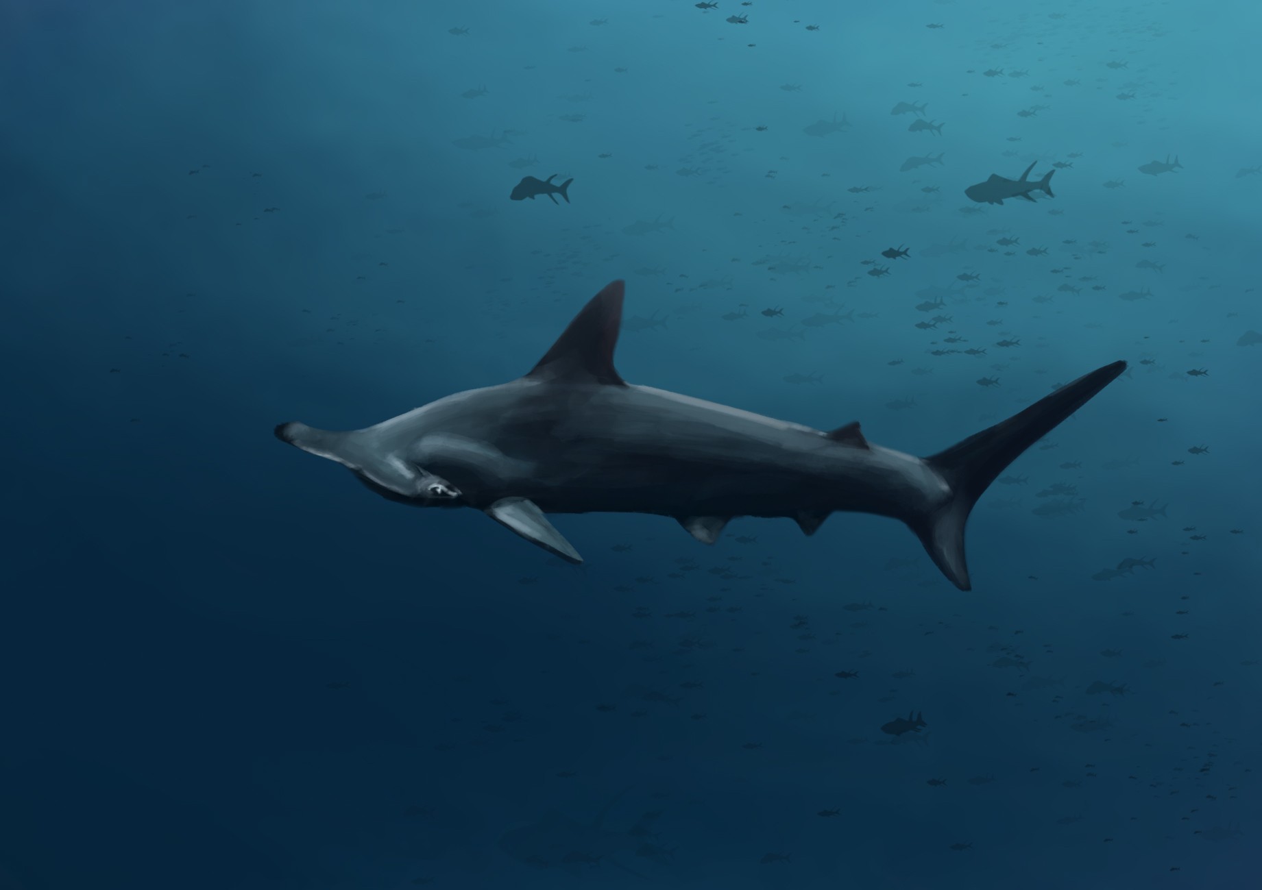 Requin Marteau Exo Chap 8 par LaJacks