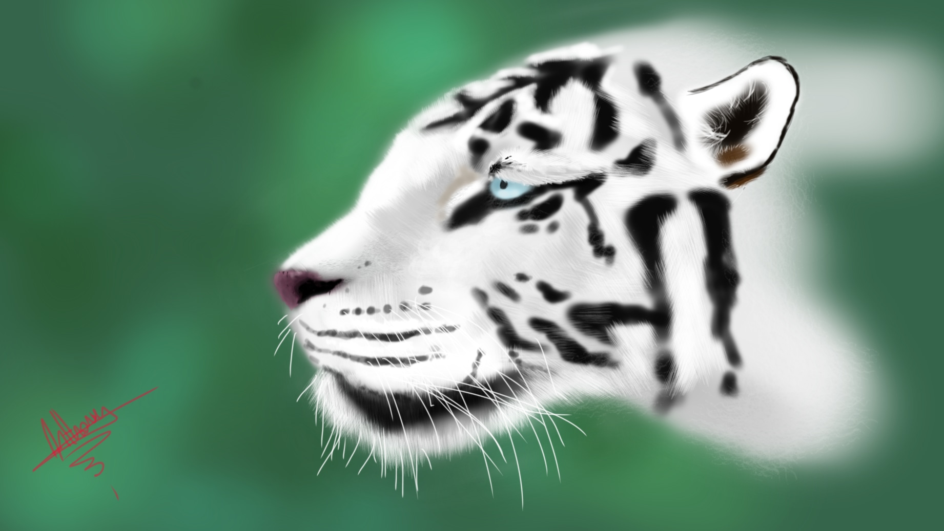 rework tigres  par Aycee974