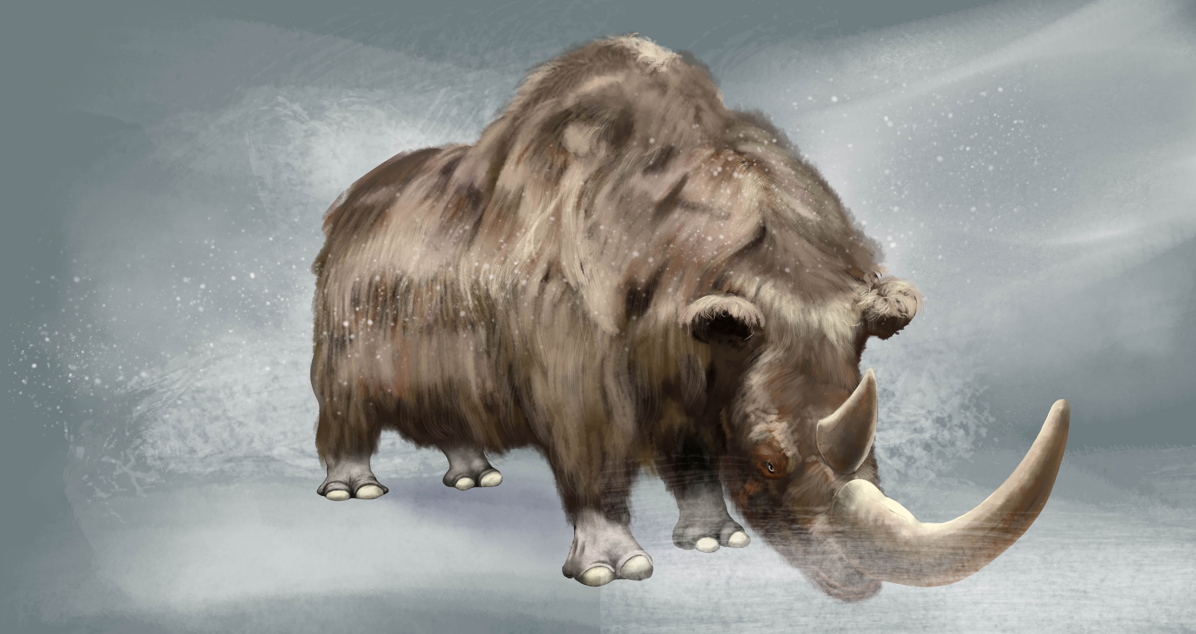 Grognonceros laineux par lievredemars