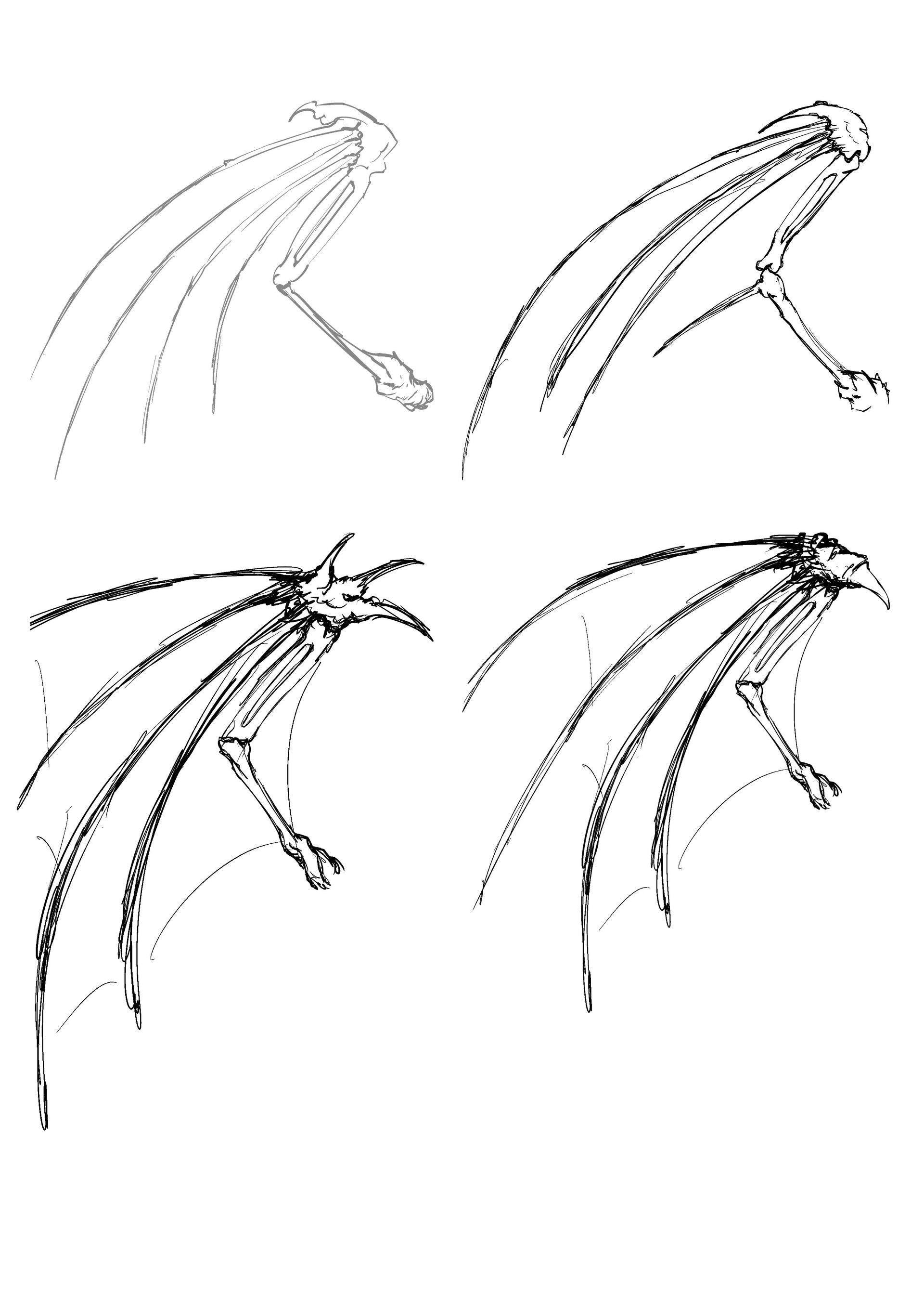 Chevalier Drakéïde par Ronan Quéré-Charvy