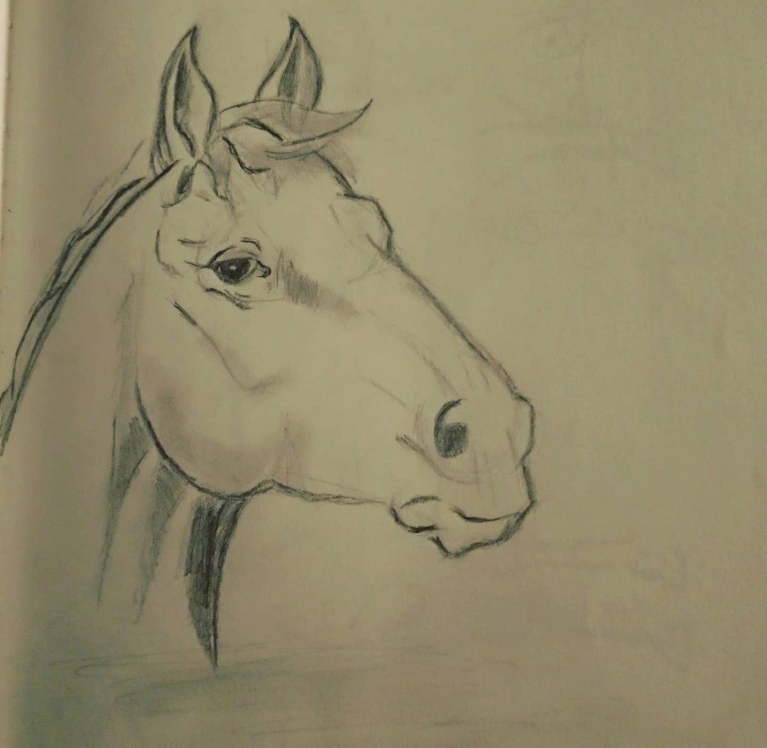 Screenshot_20210424-112909_1 par EmmaArt