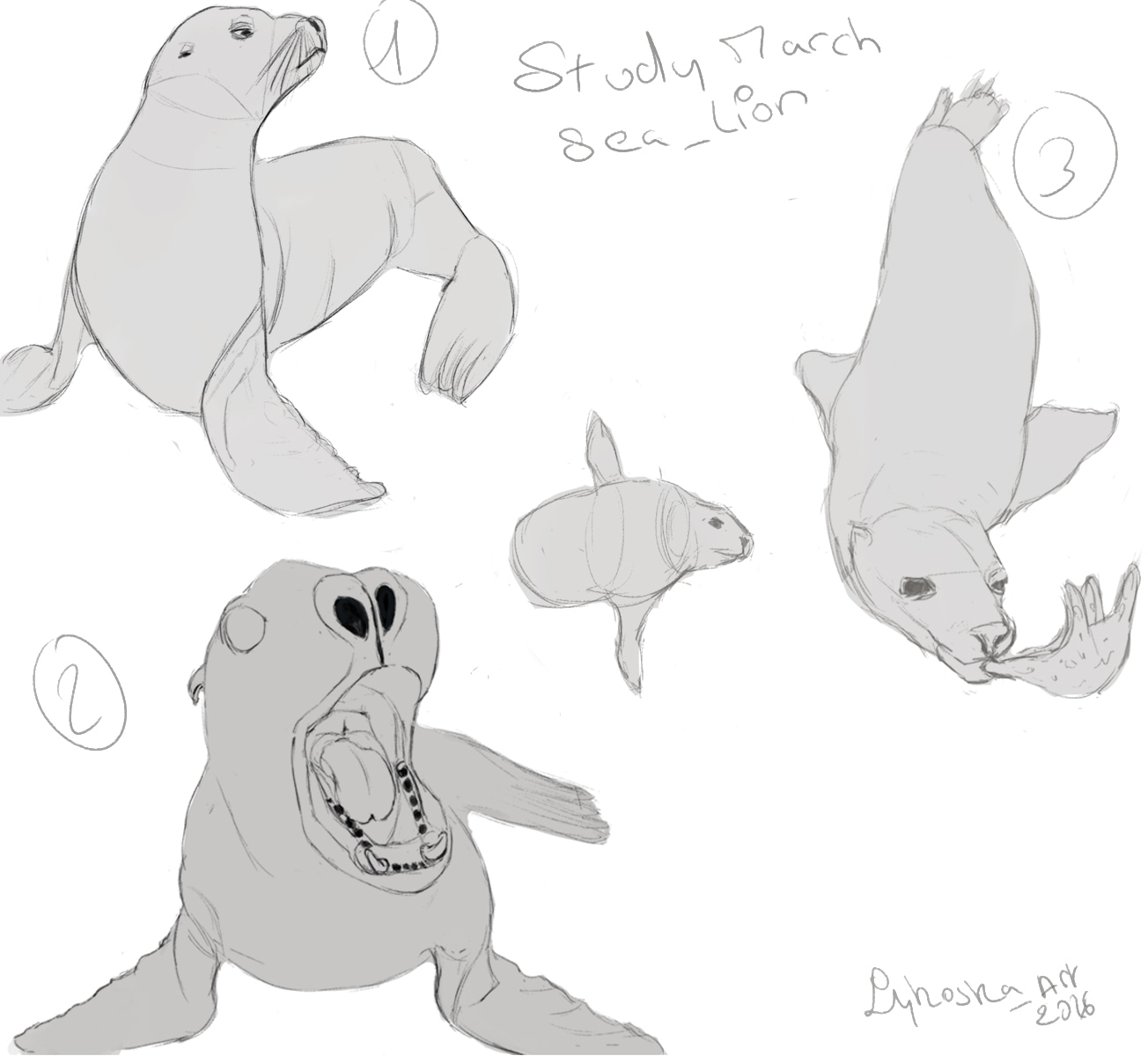 Exo mensuel du mois de mars 2026 par lykoska