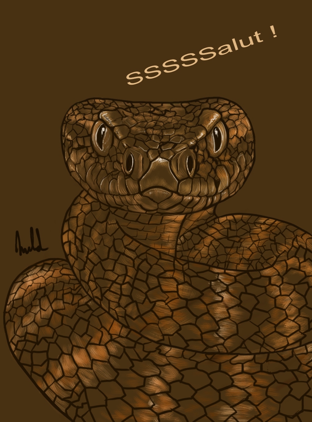 Le monde animal par MLD