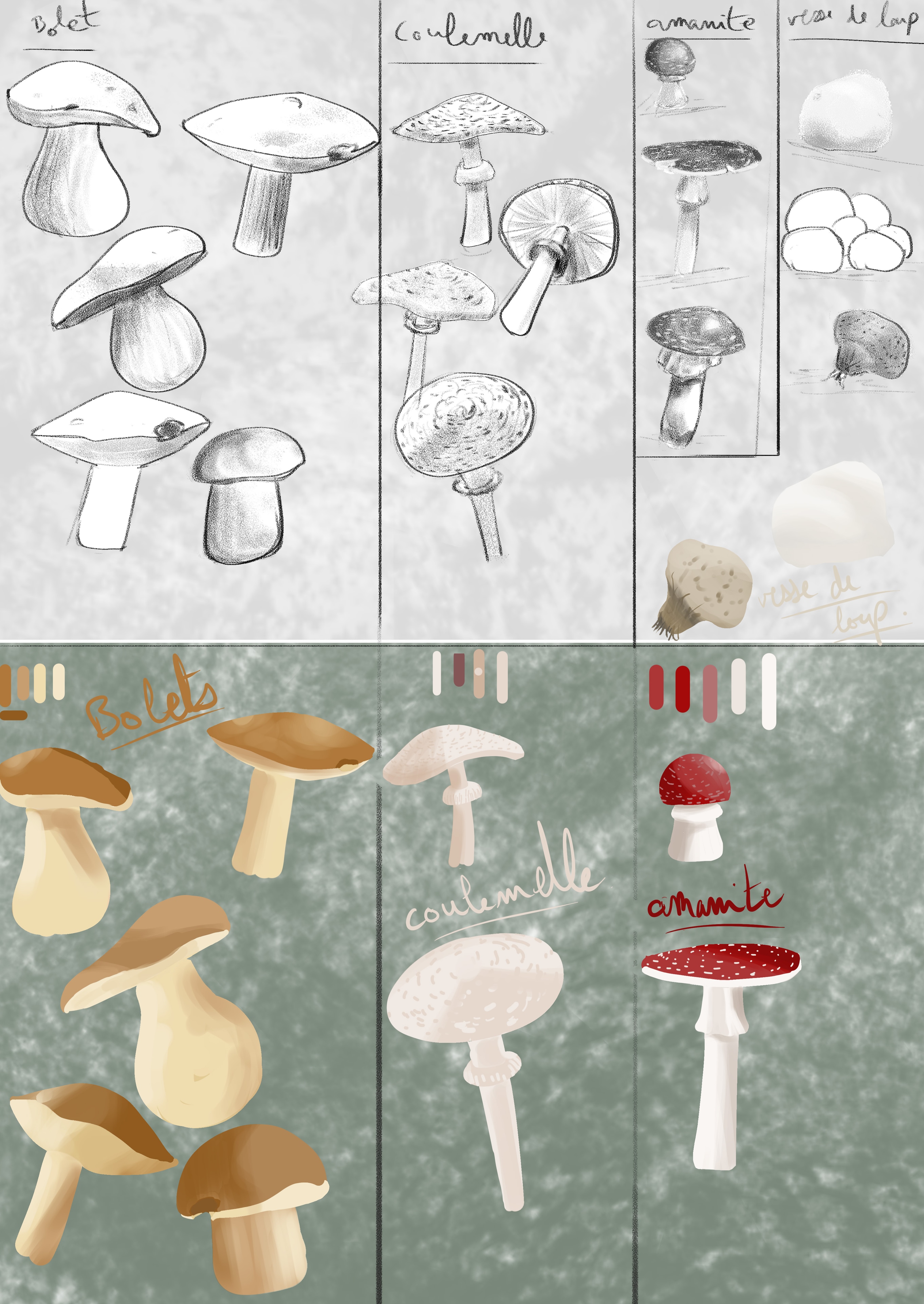 Étude - Shrooms par Khal