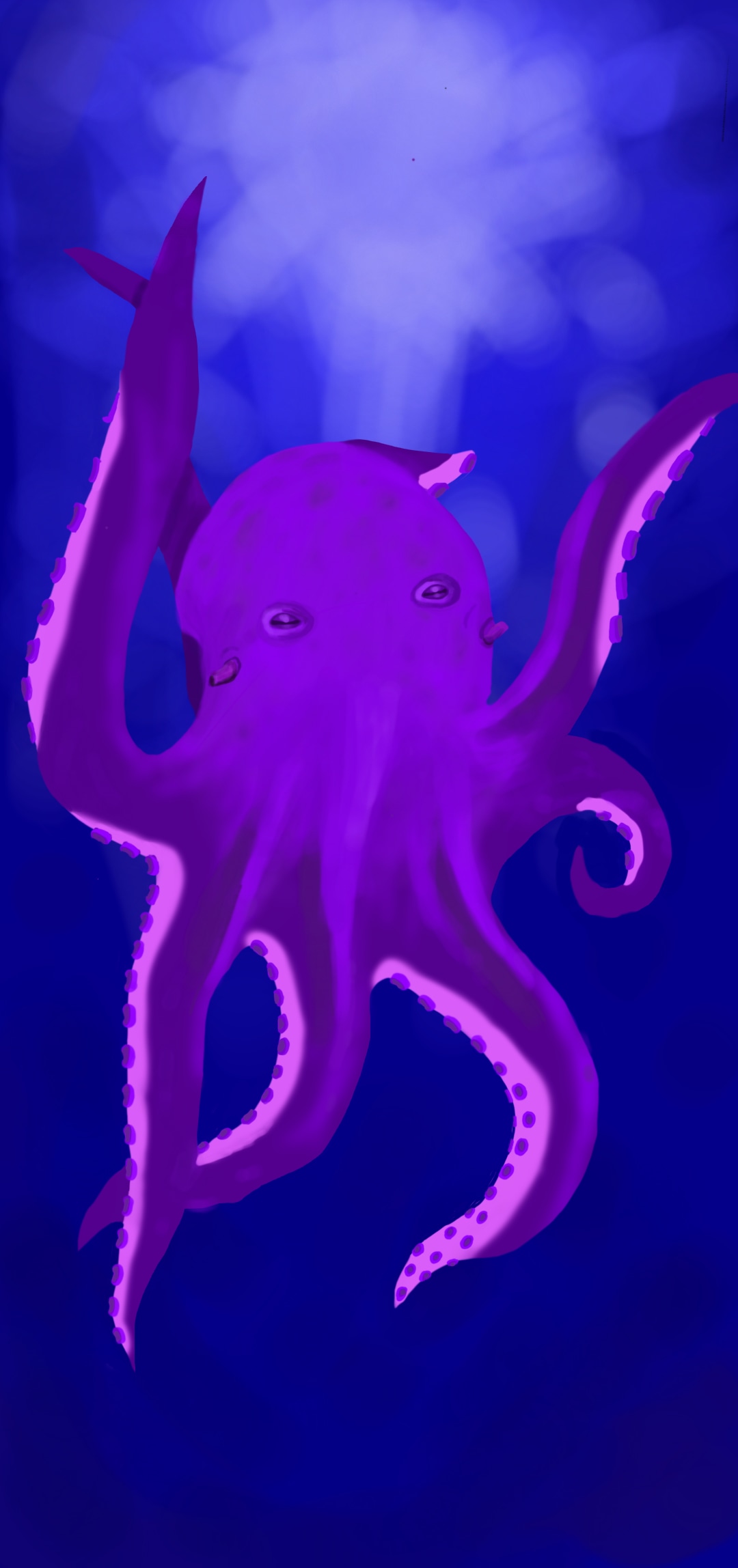 Octopus par Octopaint
