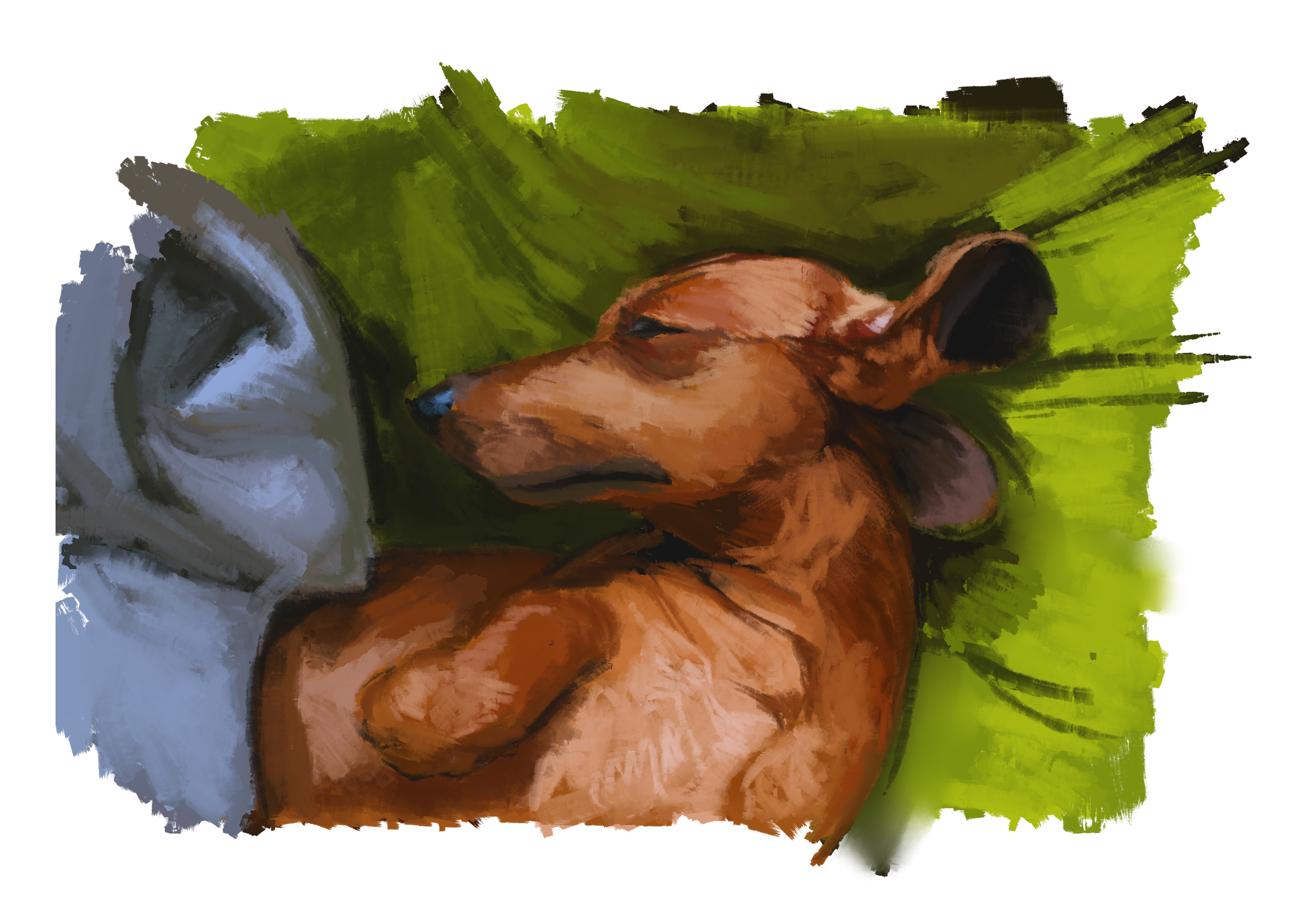Sleeping dog (warmup sketch) par Moscardino