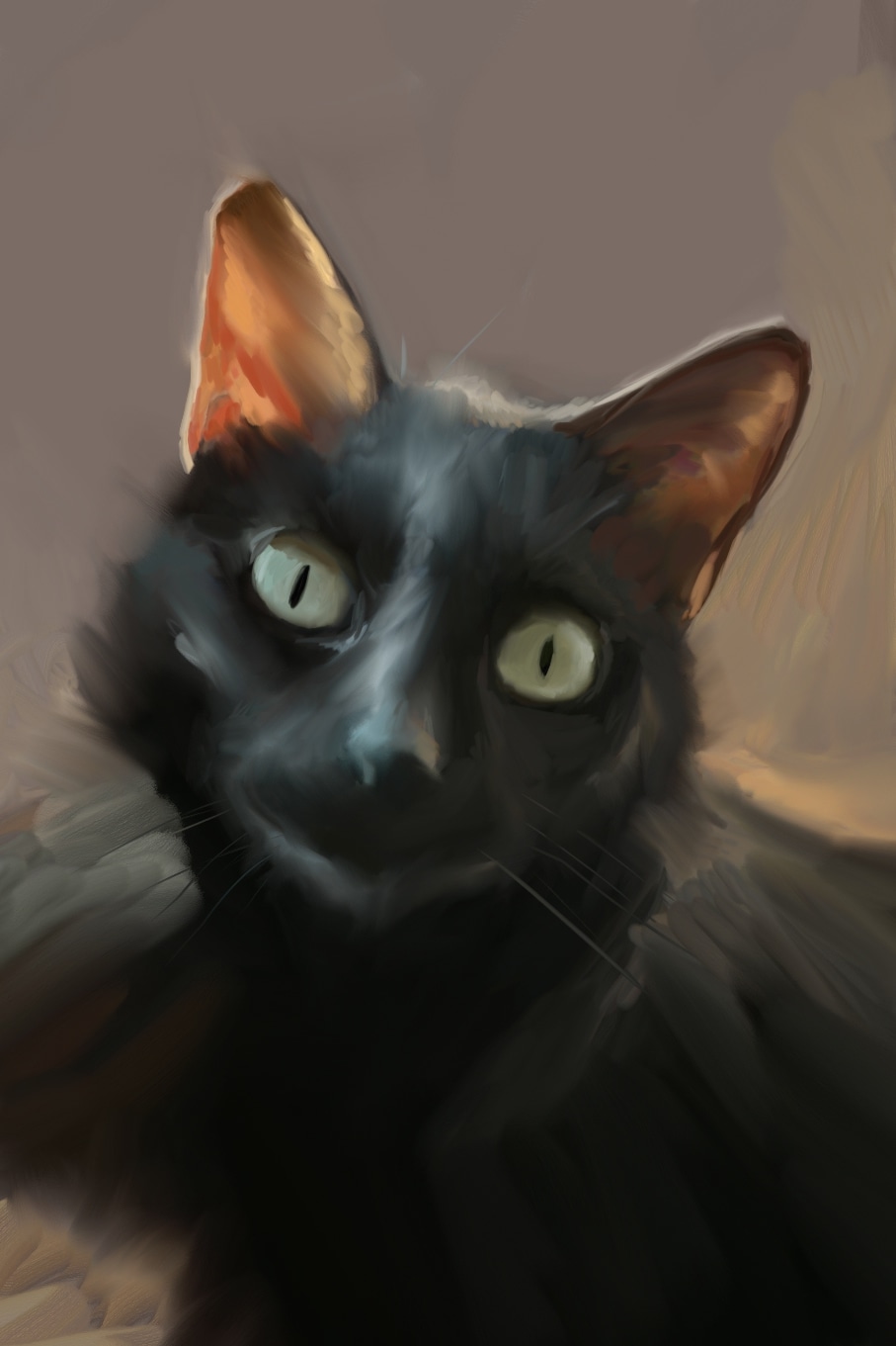 Minou par Octambre