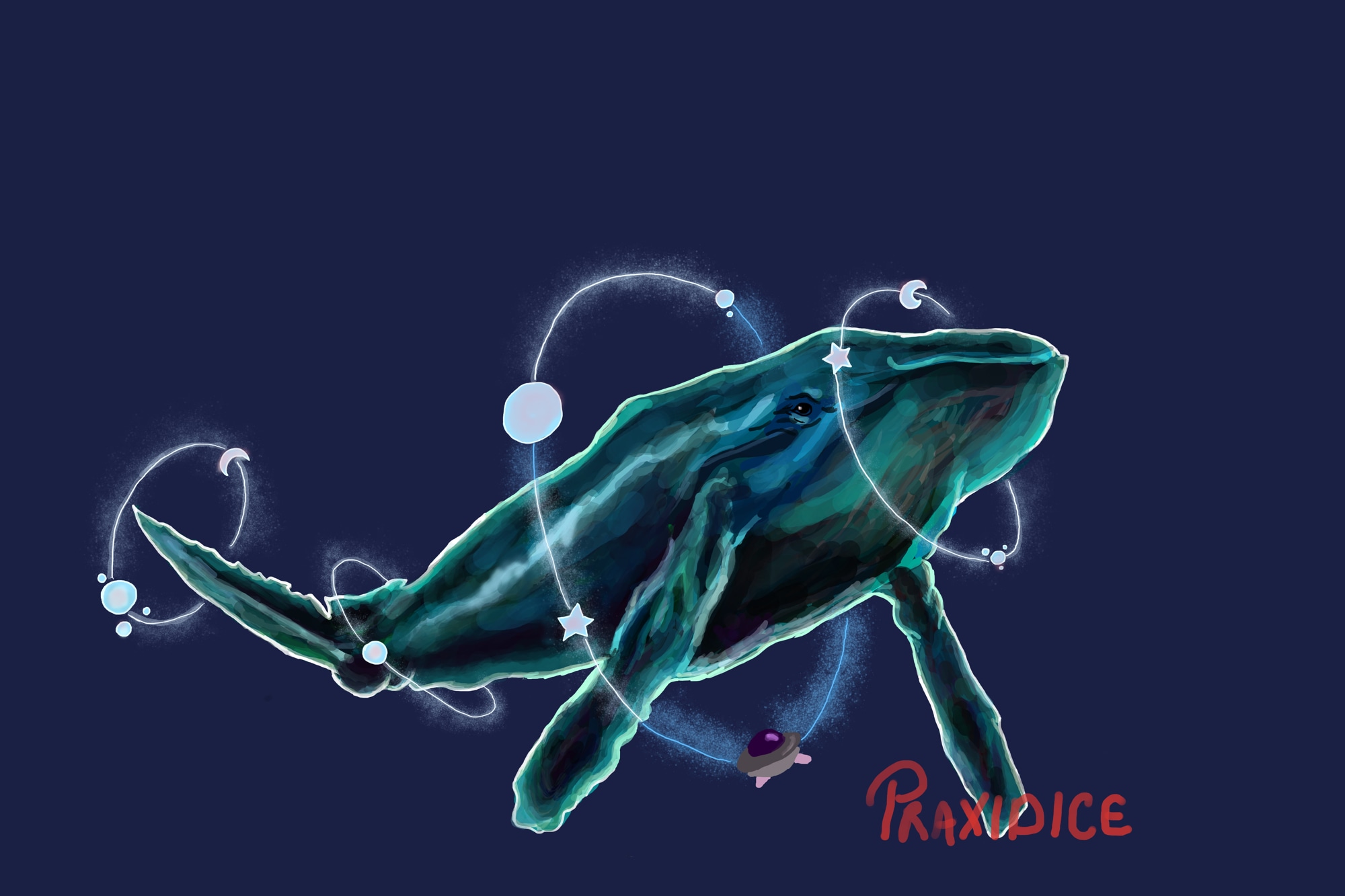 StarwhalePostable par praxidice