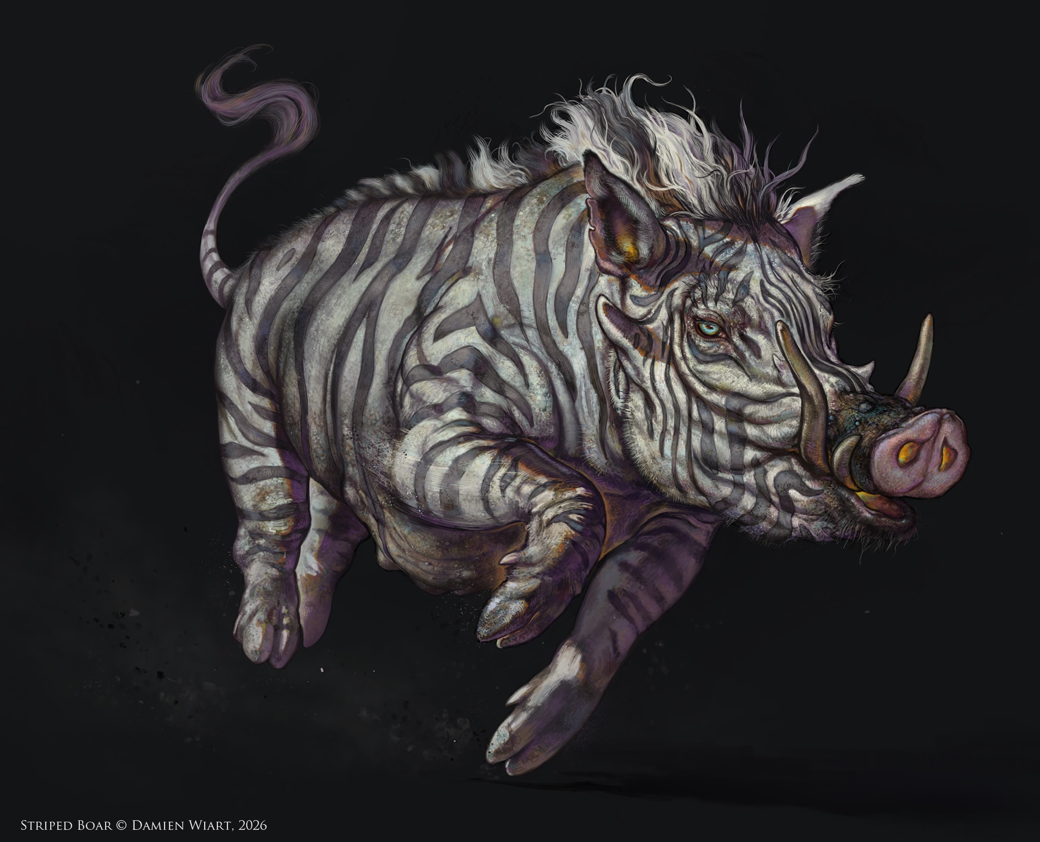 Phacochère Zébré - Creature Design par damien_wiart
