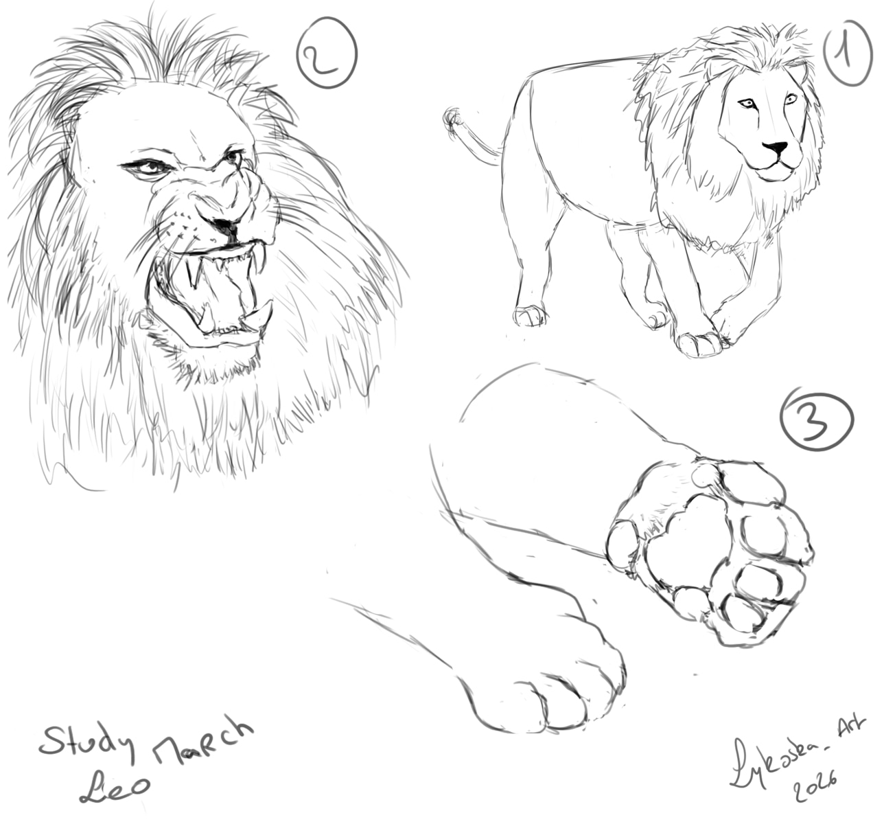 Exo mensuel du mois de mars 2026 par lykoska