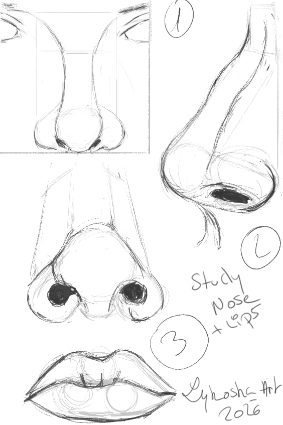 Nose study + lips par lykoska
