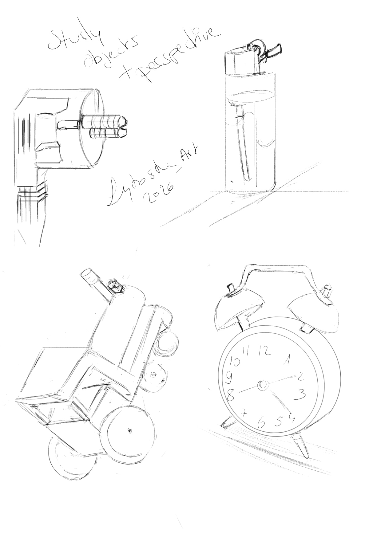 Study objects + perspective 2 par lykoska