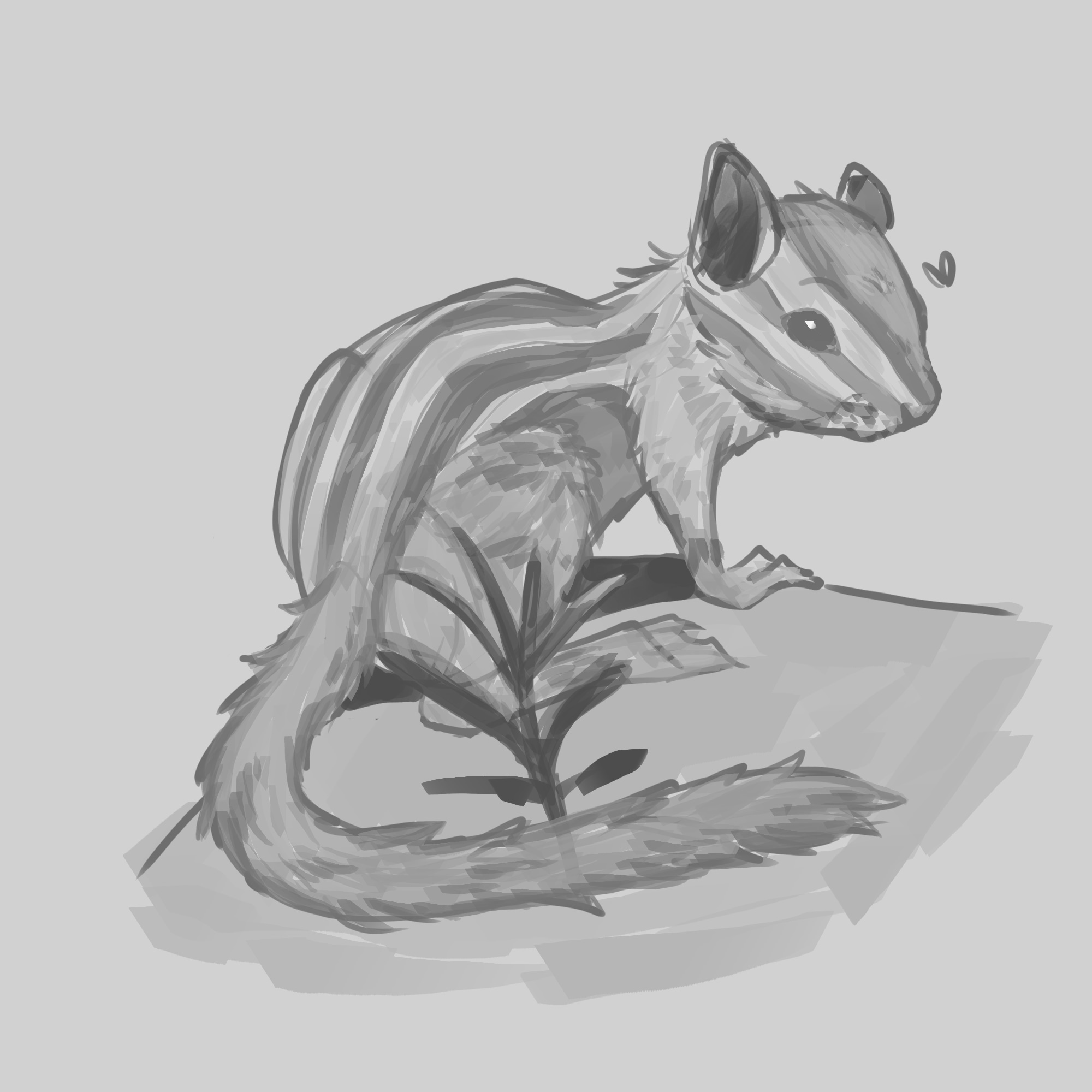 Un tamia ! par roi_loup