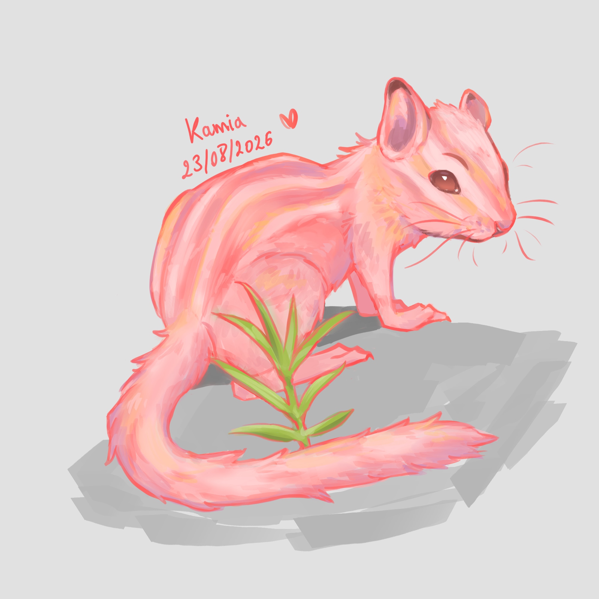 Un tamia ! par roi_loup