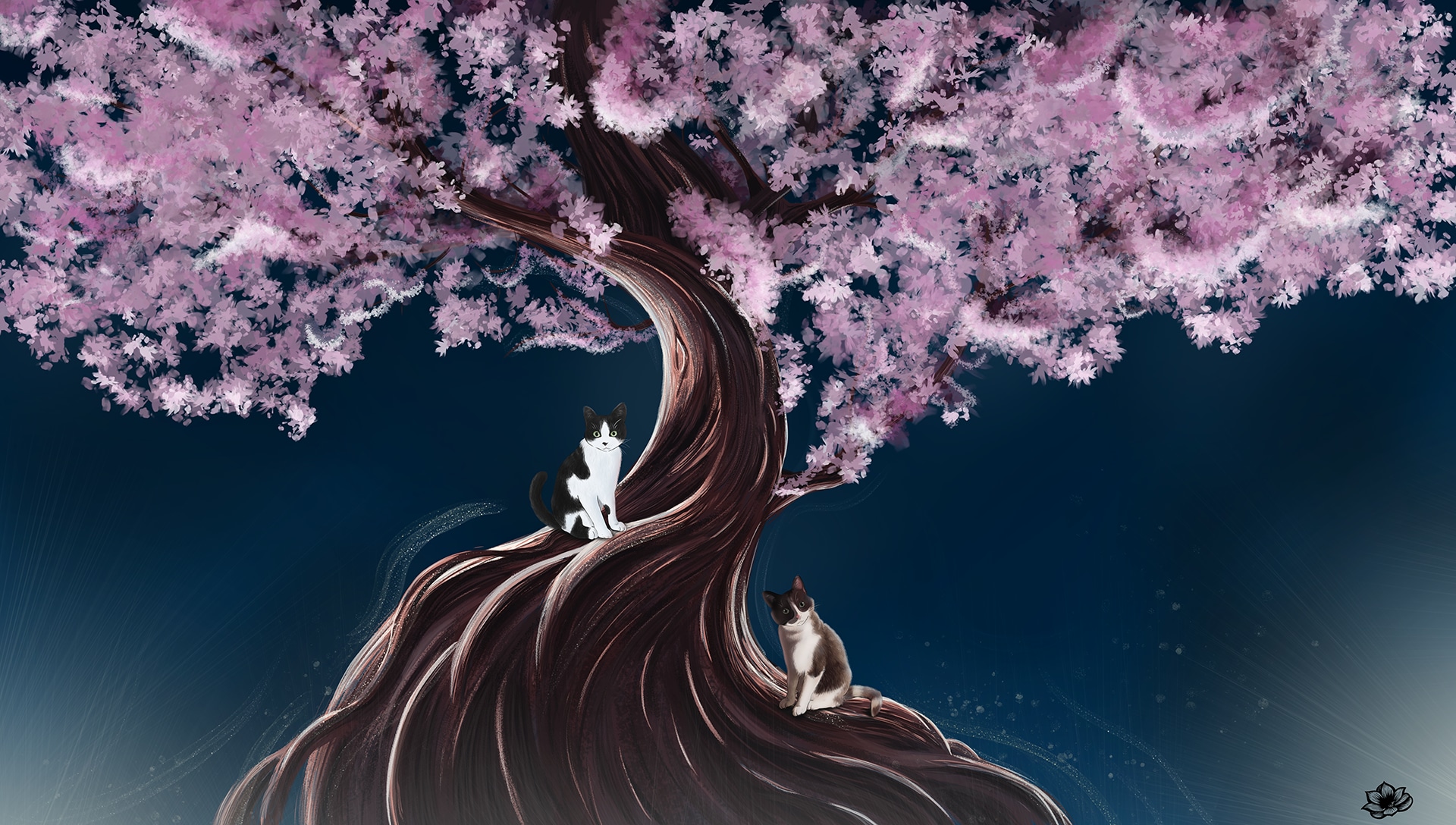 DES CHAATS par Nejda