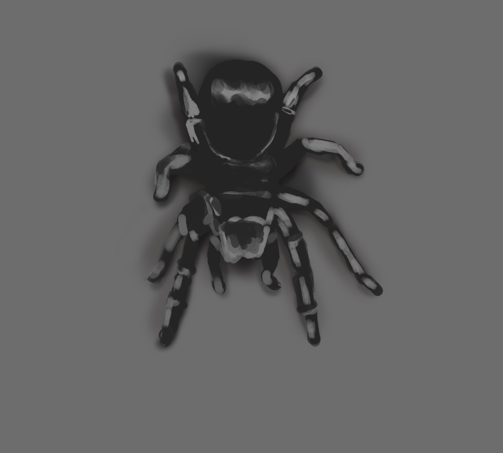 Tarentula premier essaie sur Krita par lykoska
