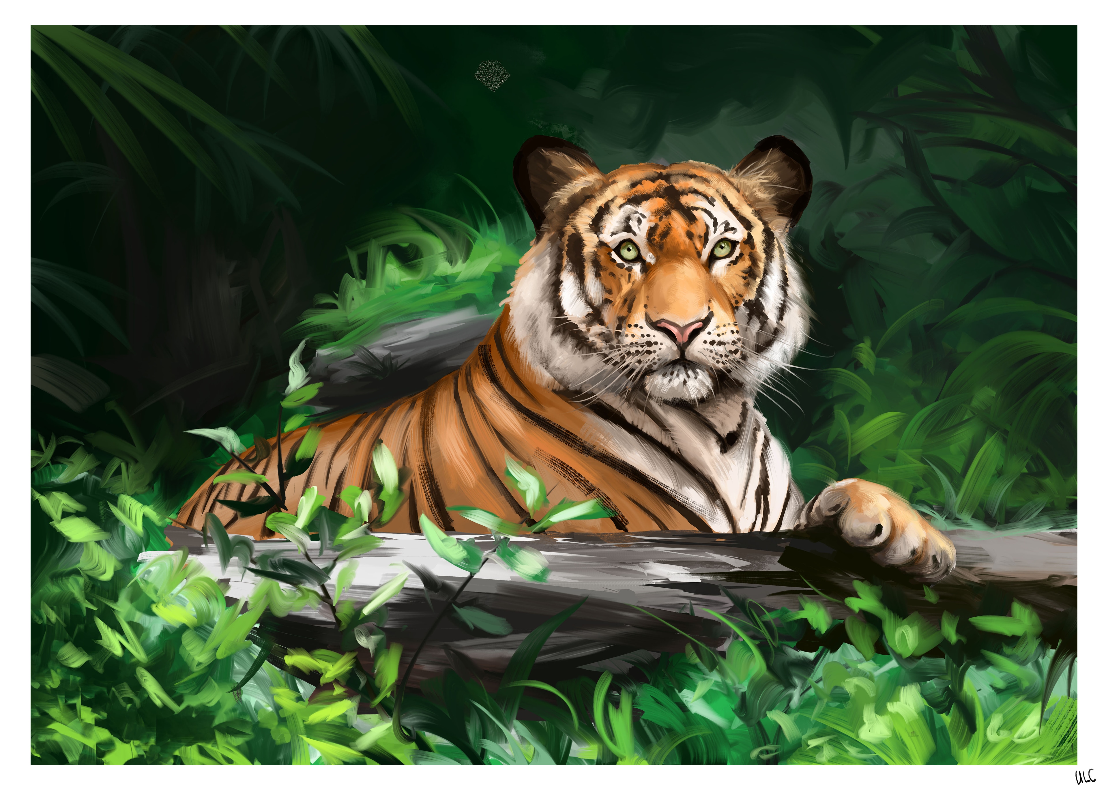 TIGRE par Moscardino