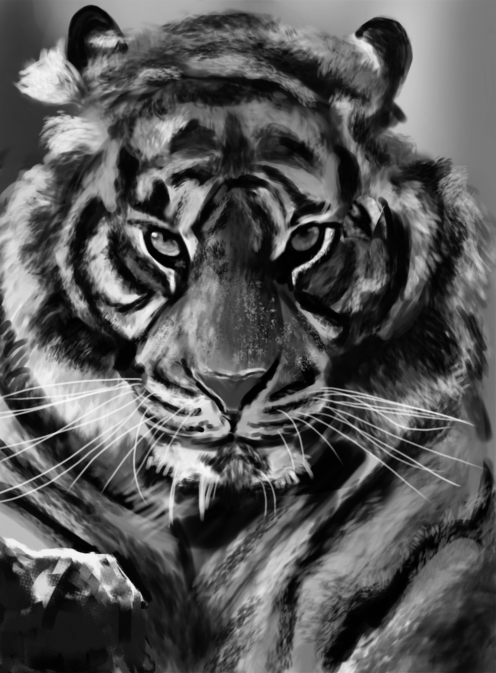 speedpainting tigre par Goul