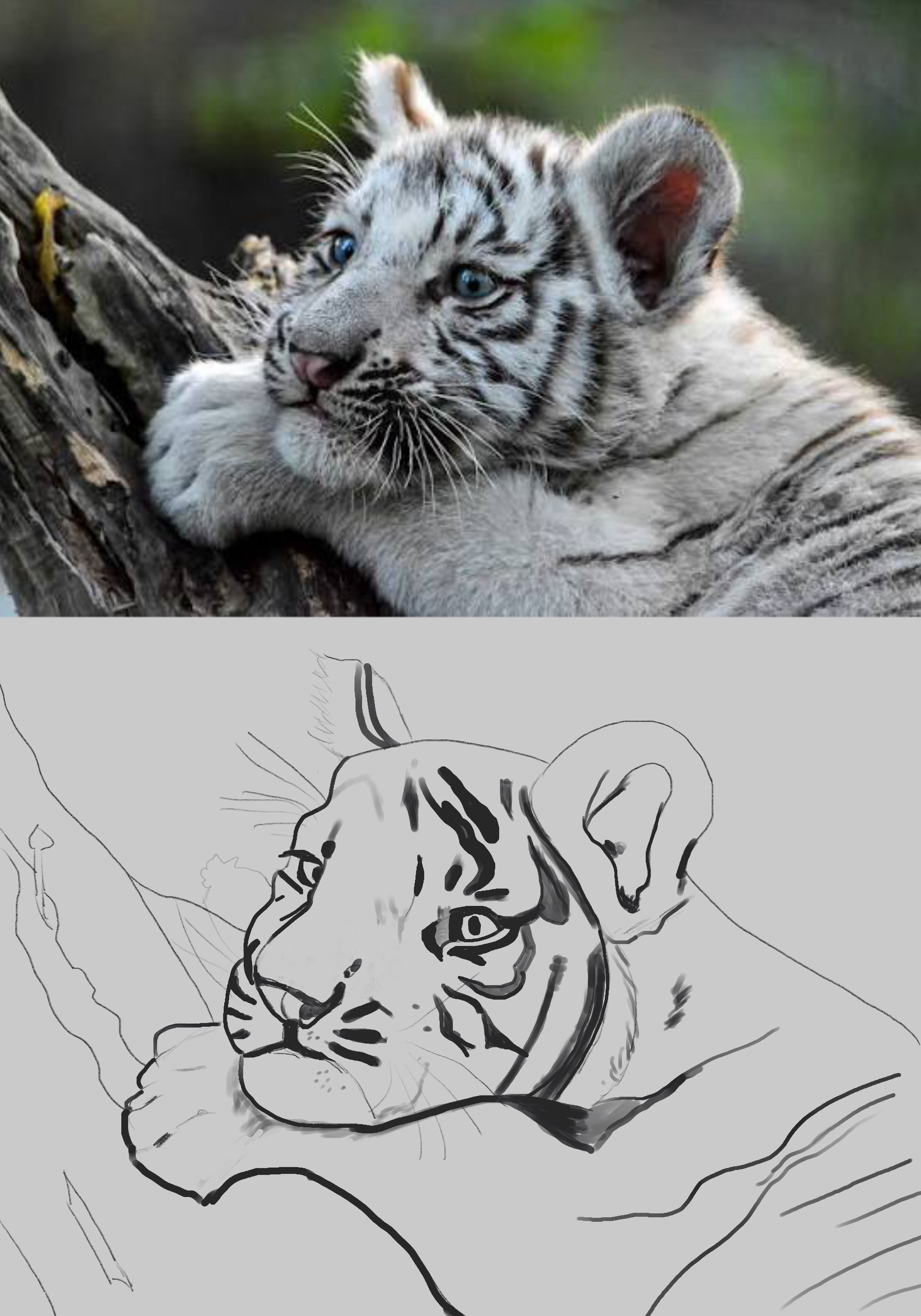 Chapitre 2 - exercices et avancées par Celine