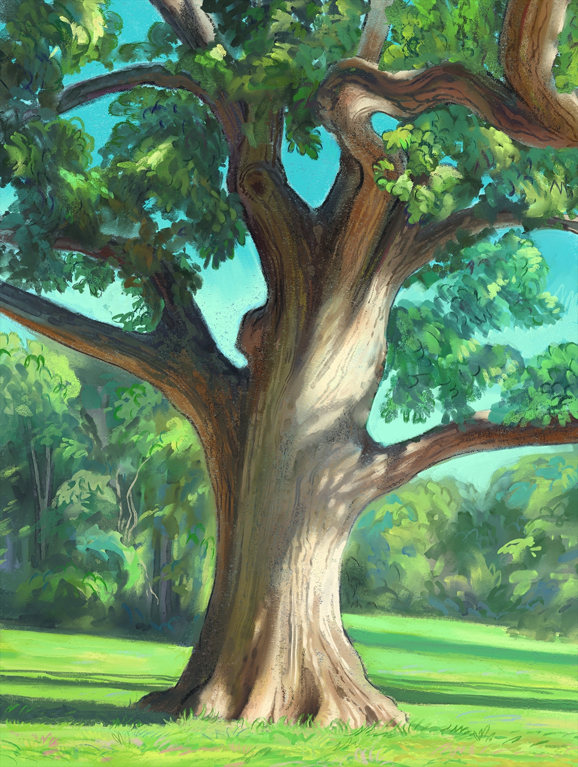 Etude d'arbres par Alex