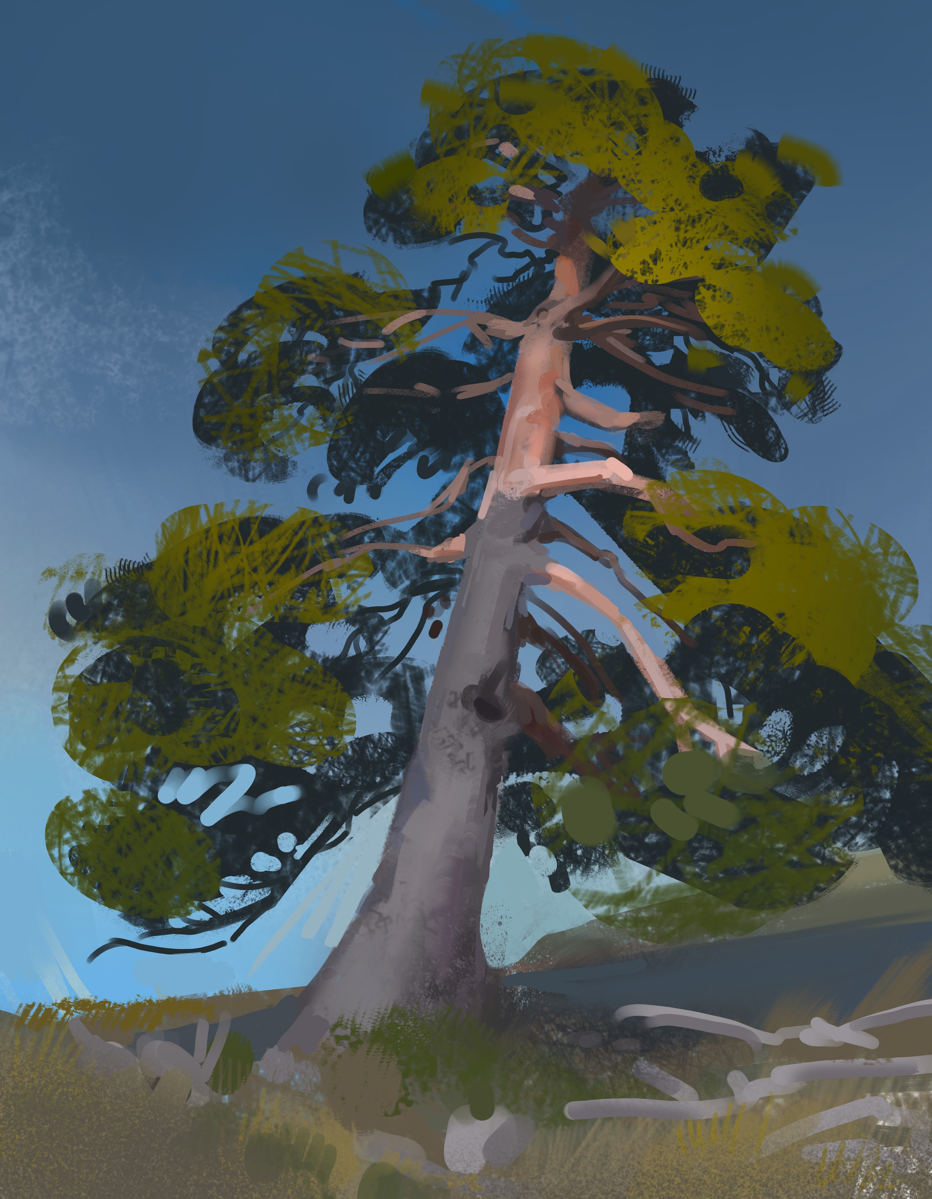 tree study par alois_sansonnens