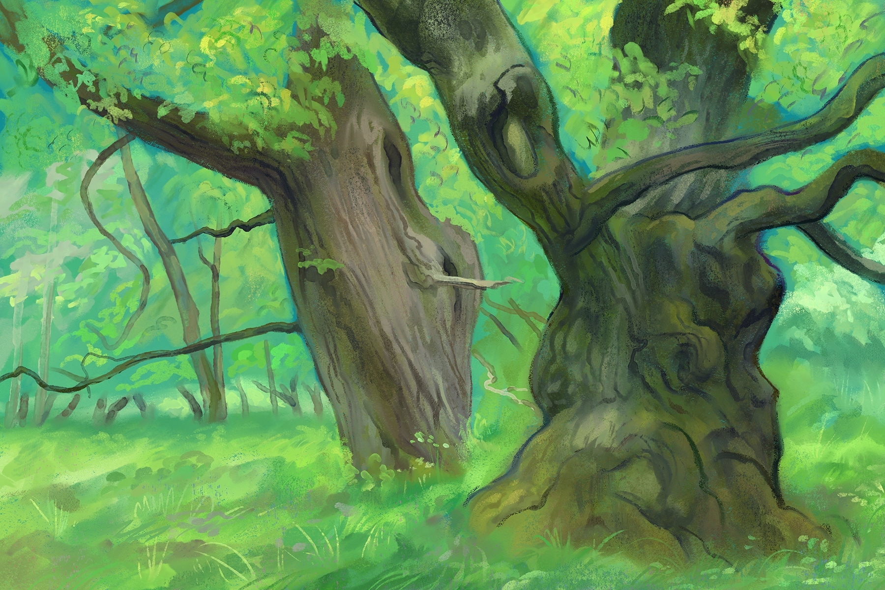 Etude d'arbres par Alex