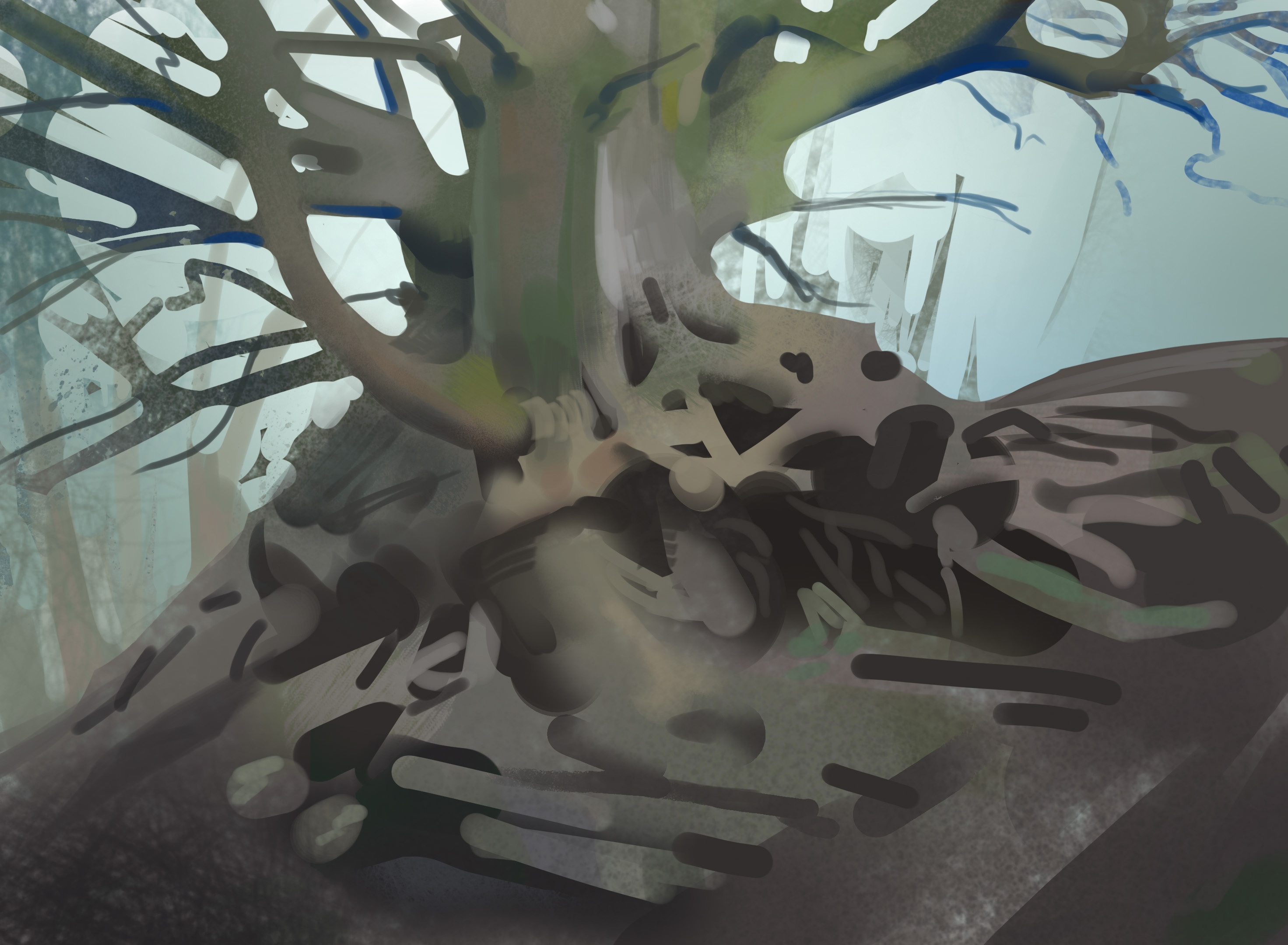 trees par alois_sansonnens