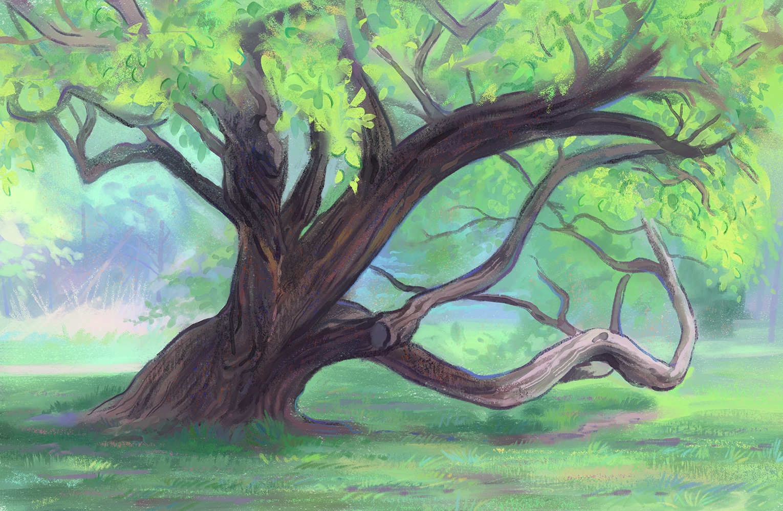 Etudes d'arbres 2 par Alex