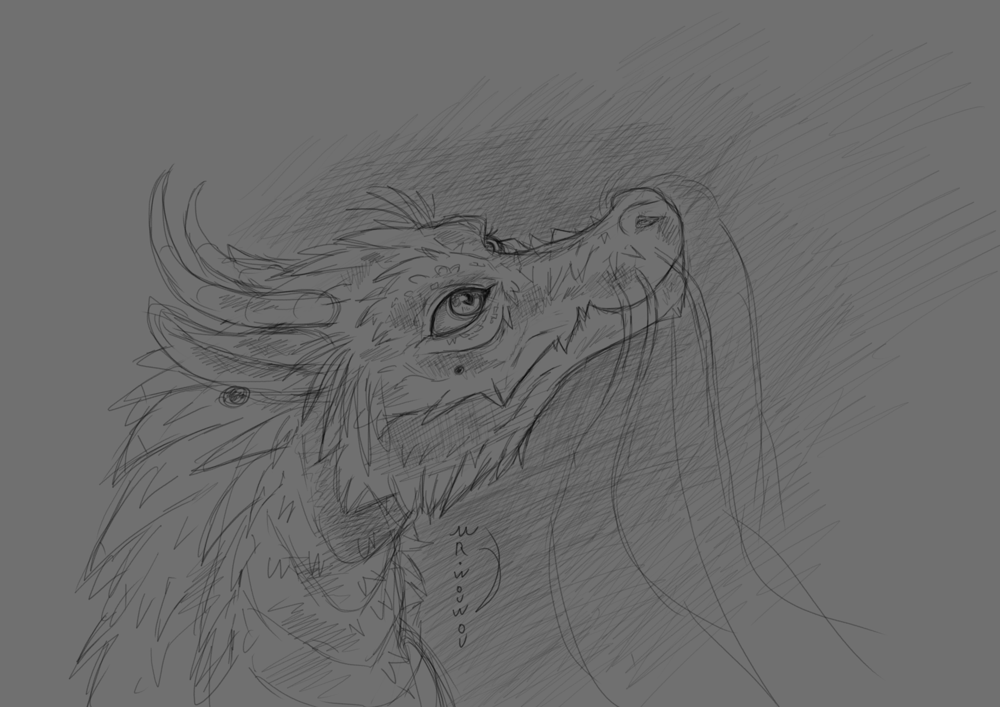 Dragon sketchart par Mr.Wouwou