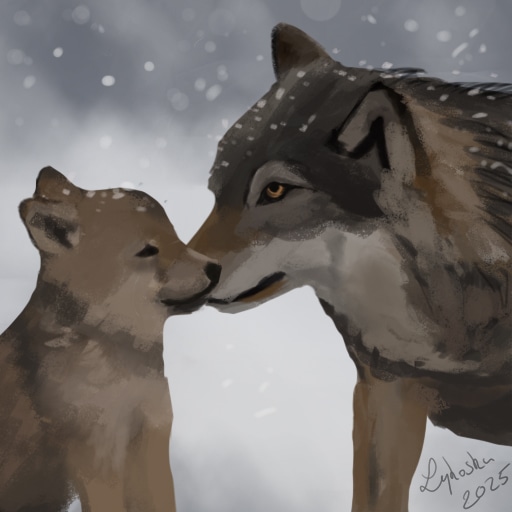 Collab Bannière Darum'art par lykoska