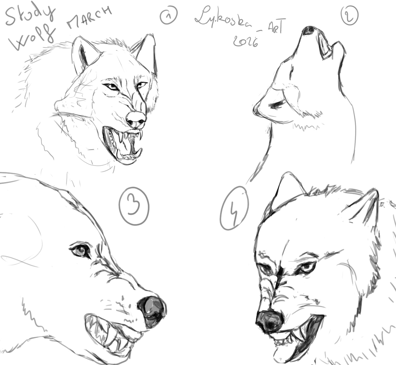 Exo mensuel du mois de mars 2026 par lykoska