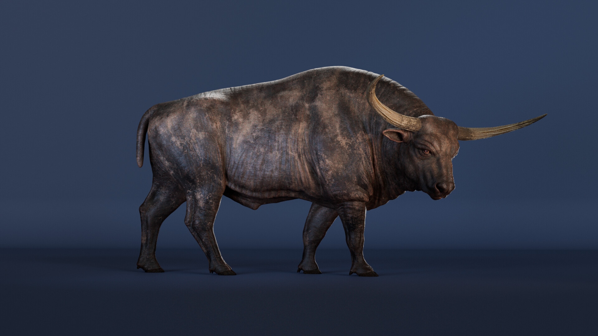 Portfolio Créatures 3D par Oxhi