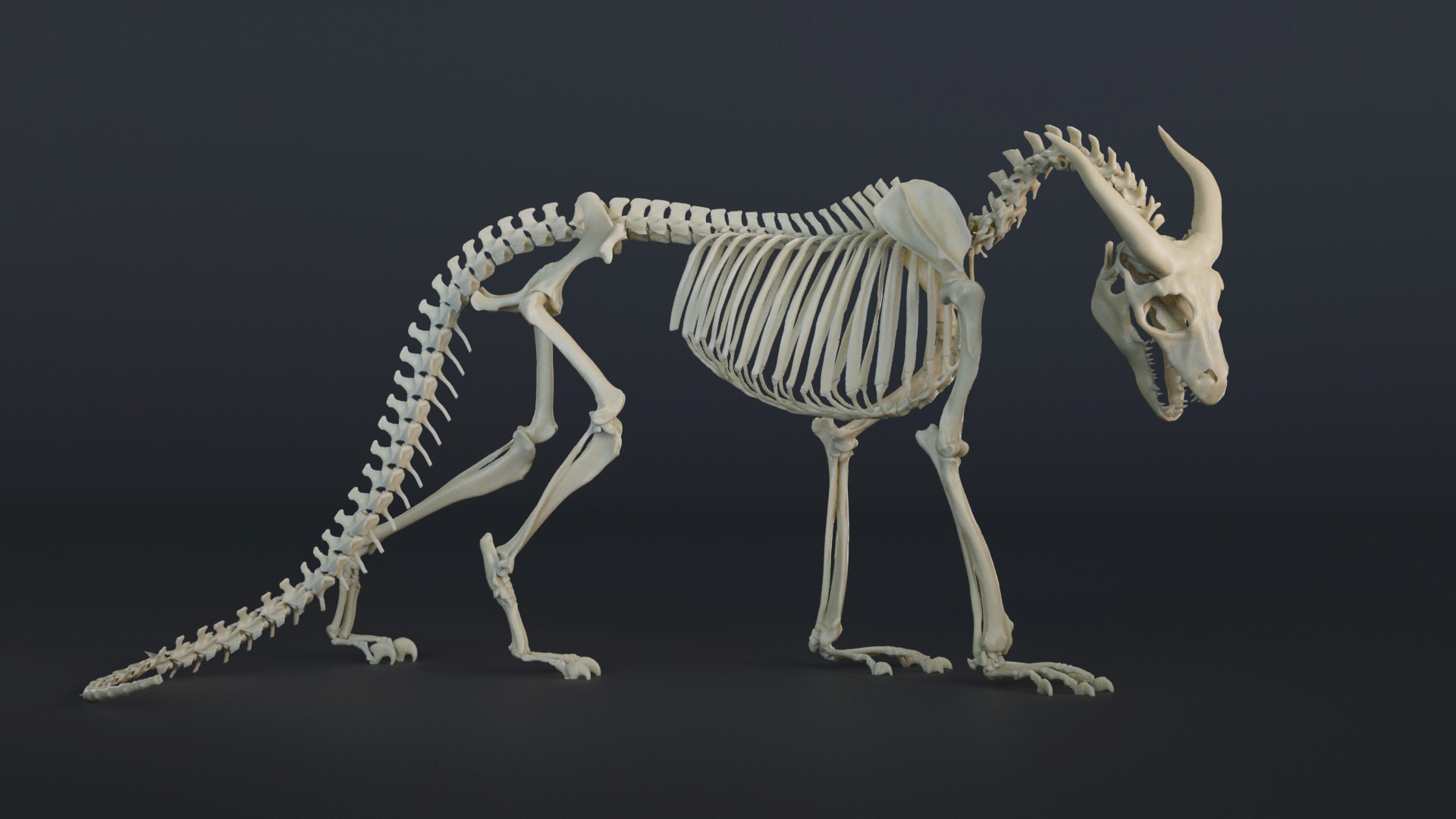 Portfolio Créatures 3D par Oxhi