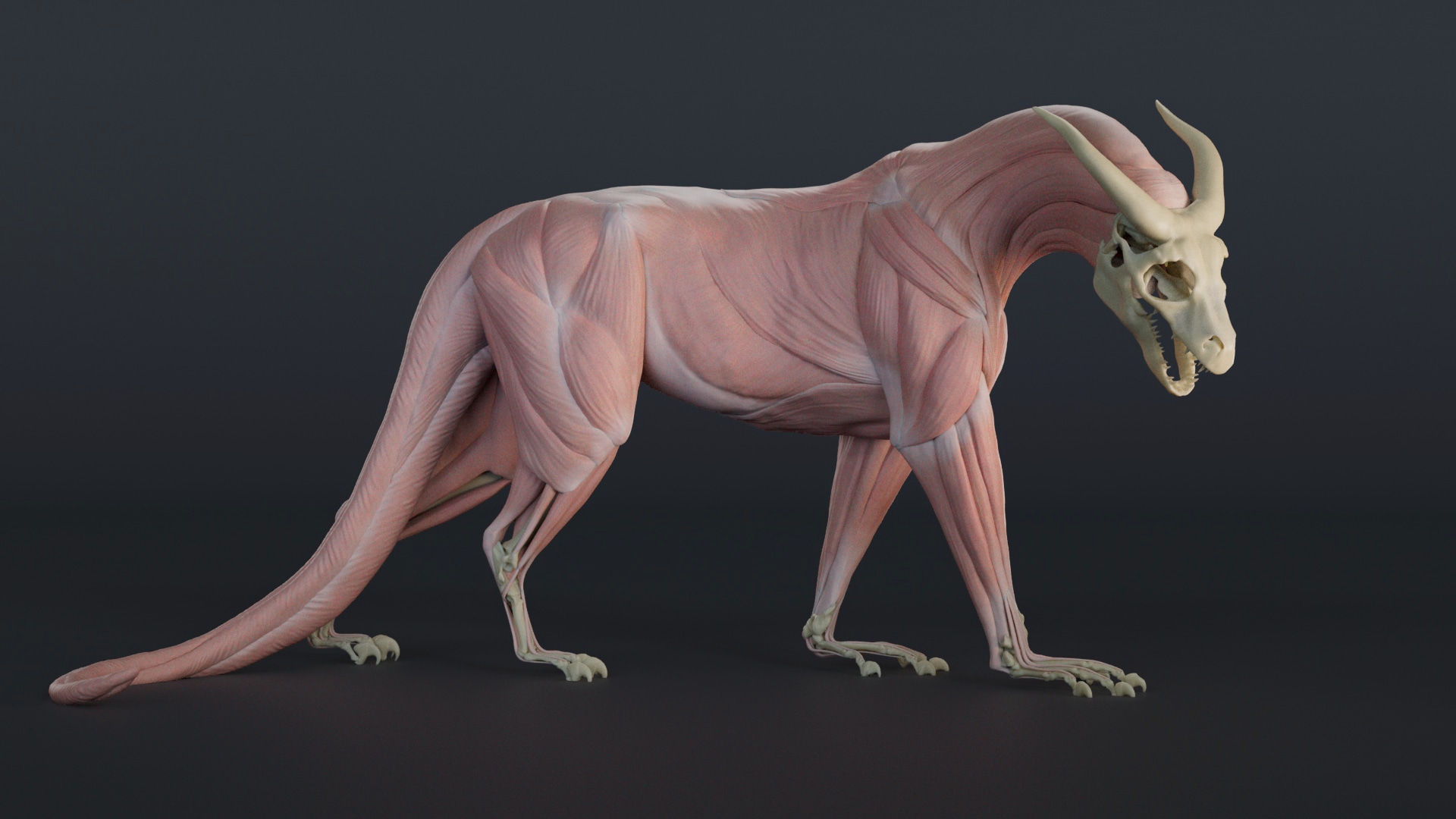 Portfolio Créatures 3D par Oxhi