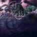 Image de profil de fomw
