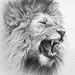 Image de profil de phybiethibeaudeau-stacke