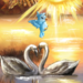 Image de profil de ilhamart