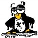 Image de profil de g4l4drim