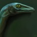 Image de profil de unpandas