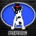 Image de profil de popdog