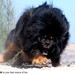 Image de profil de piloupilou