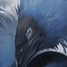 Image de profil de emberkarasu
