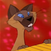 Image de profil de neballetob